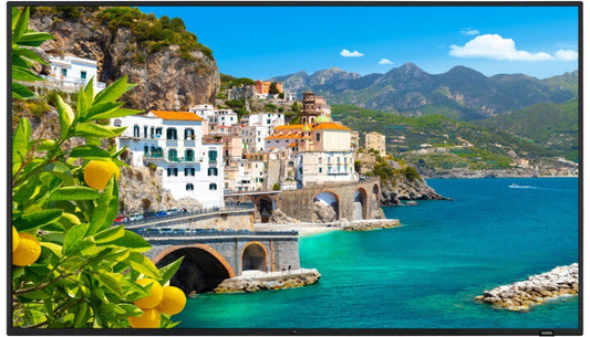 Vestel DC65A-6K 65-Inch 4K – Dynamic Series interactive flat panel
