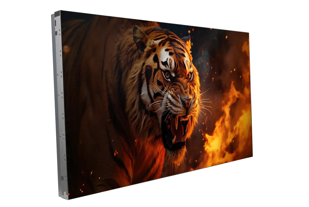 Barco OverView 55 pouces – Écran d'enceinte vidéo LCD KVD-5521D