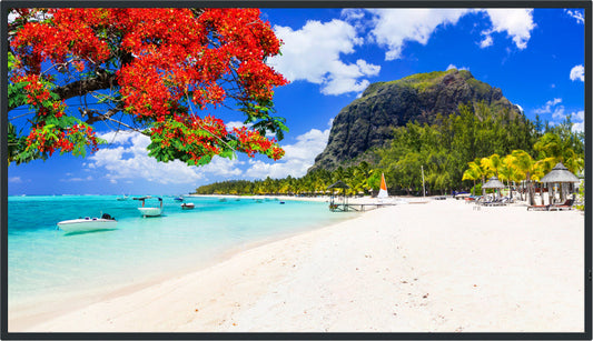 Panasonic TH-50SQ2H 50-inch digital signage display
