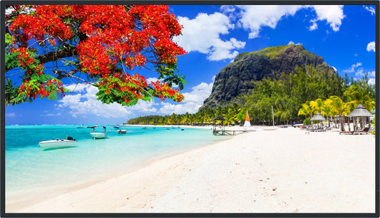 Panasonic TH-55SQ2H 55-inch digital signage display