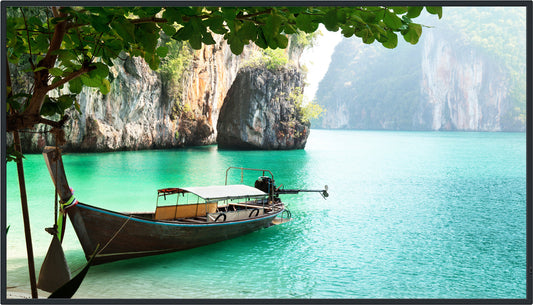 Panasonic TH-65CQ2 65-inch digital signage display