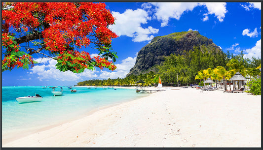 Panasonic TH-98SQ2H 98-inch Digital Signage Display