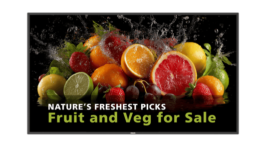 Philips 55BDL5050D/00 55-inch digital signage display
