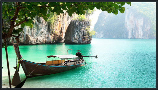 Panasonic TH-55CQ2 55-inch digital signage display