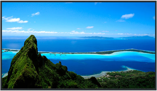 Panasonic TH-55SQ1 55-inch 4K UHD LCD display