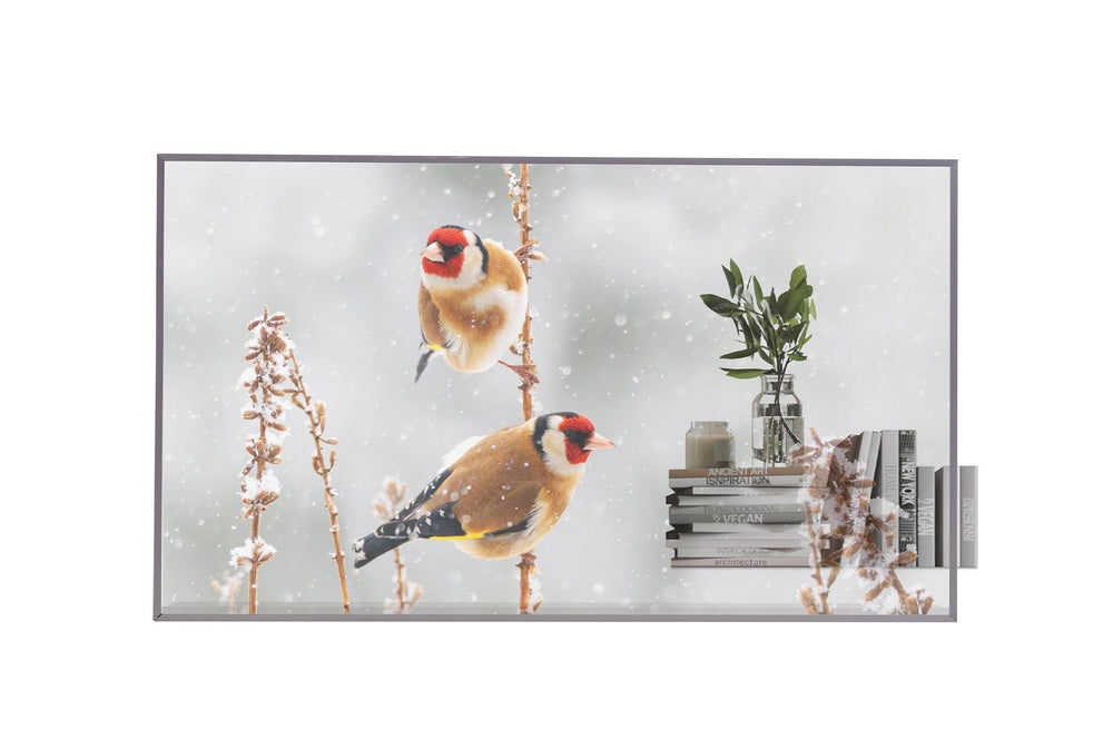 LG 55EW5P-M 55-inch Transparent OLED Digital Signage Display