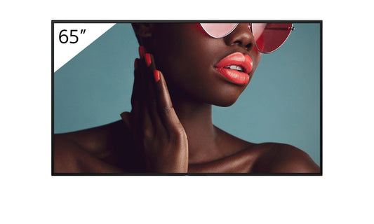 Sony Pro BRAVia FW-65BZ40L 65-inch digital signage display